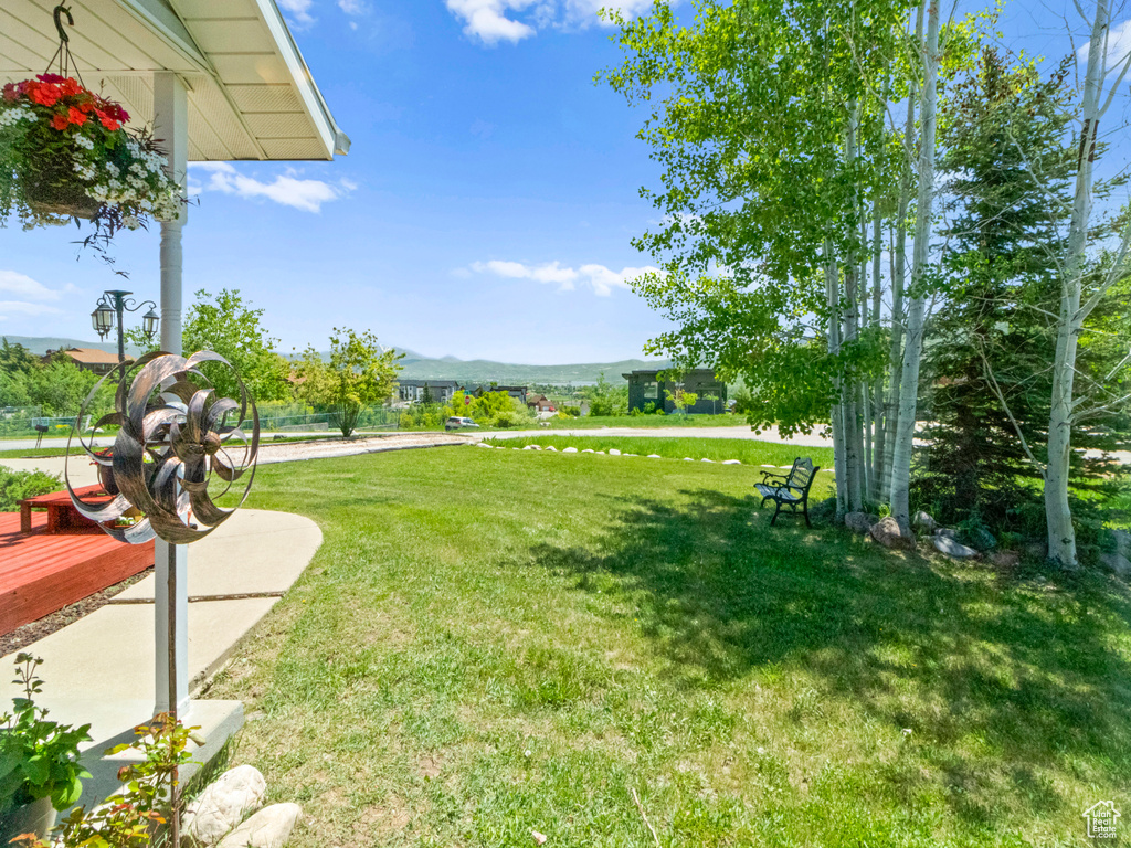 View of yard