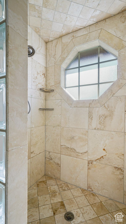 Full bathroom with a tile shower