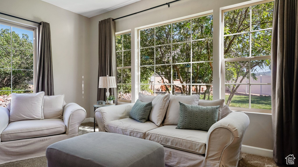 Living room featuring carpet and baseboards