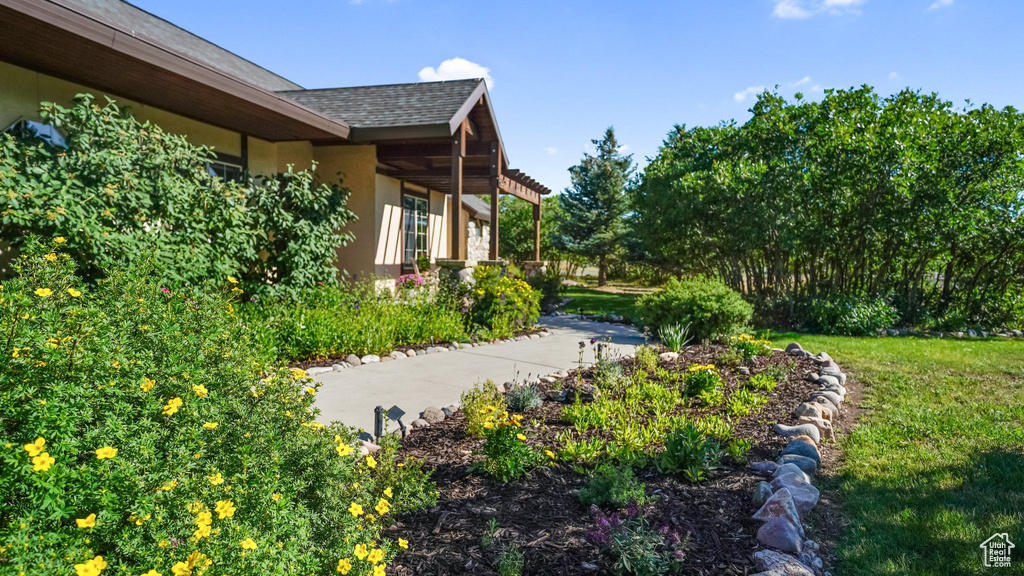 View of grassy yard