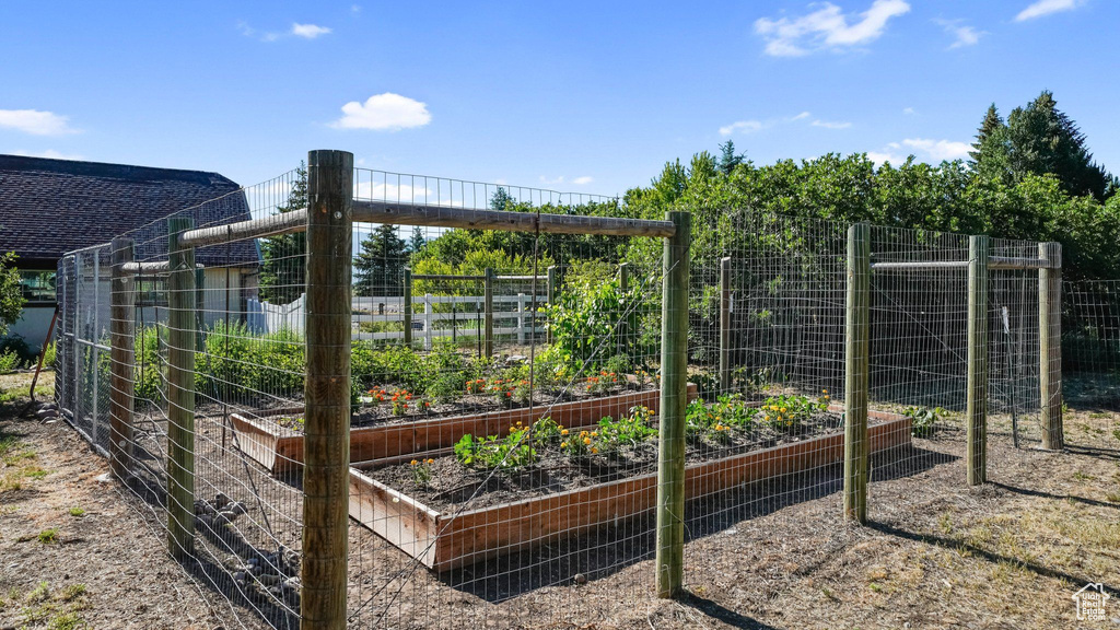 View of yard with a vegetable garden
