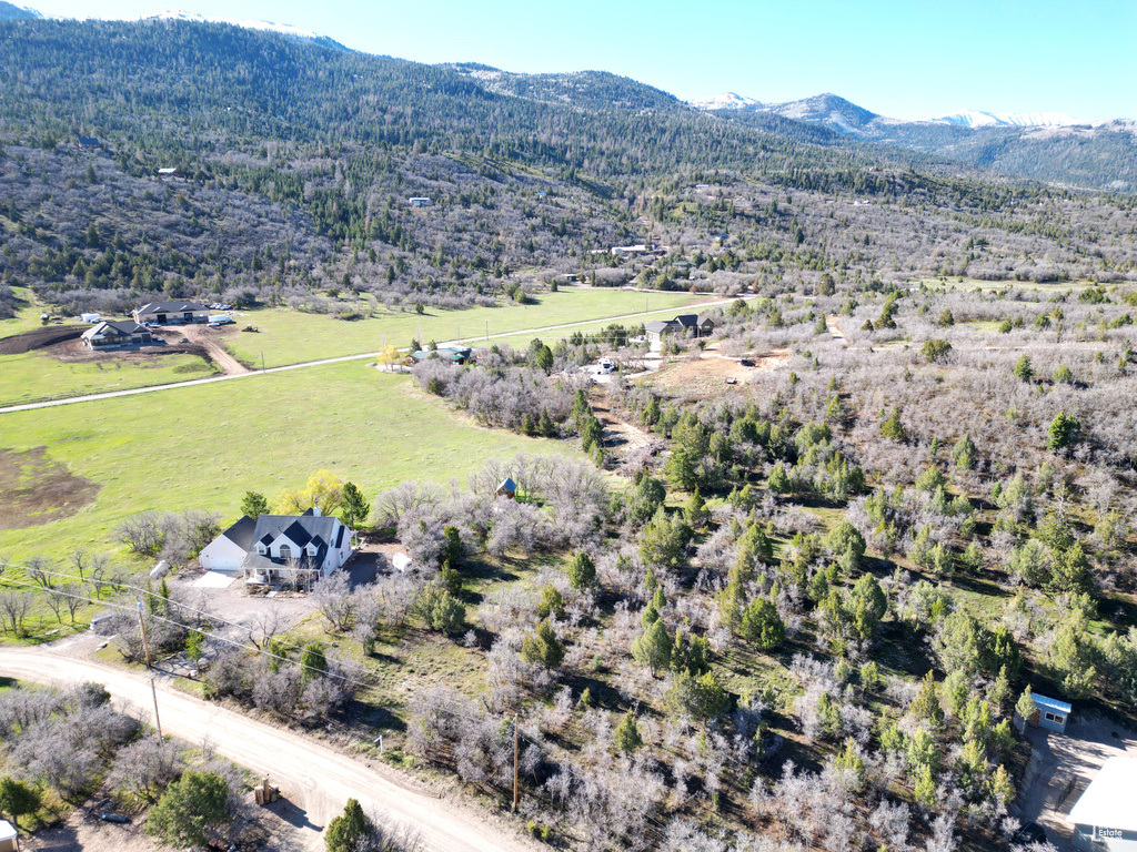 Bird's eye view with a mountain view and a rural view