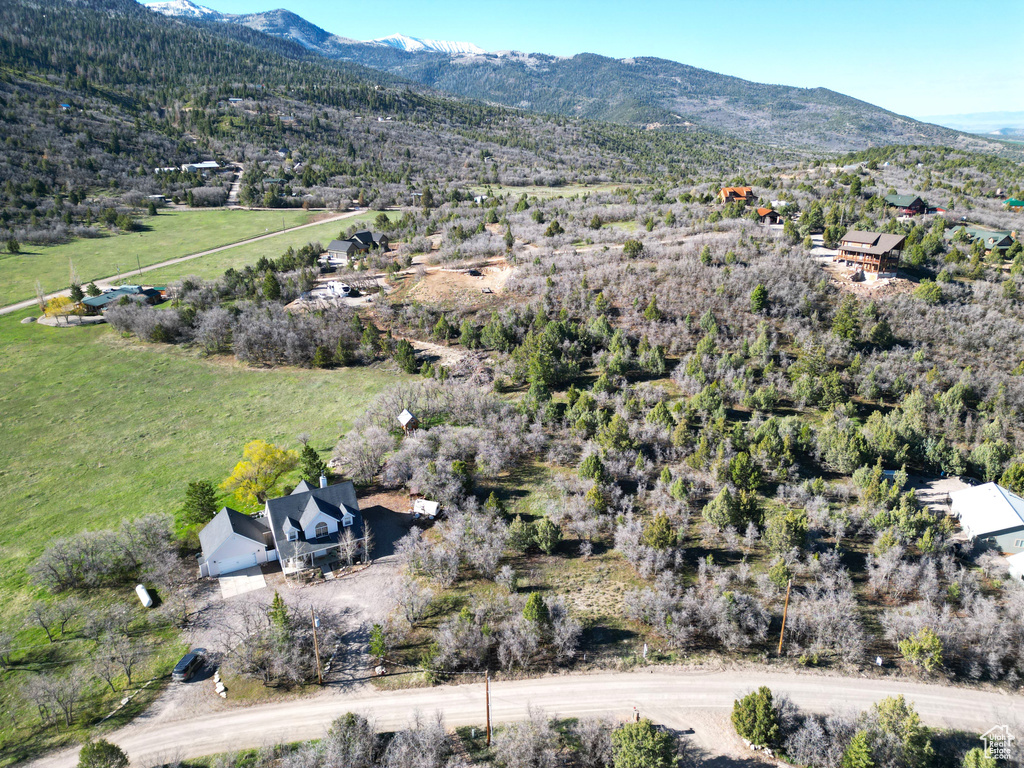 Drone / aerial view featuring a mountain view