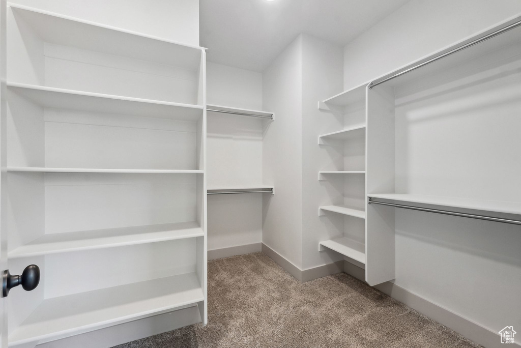 Spacious closet with carpet