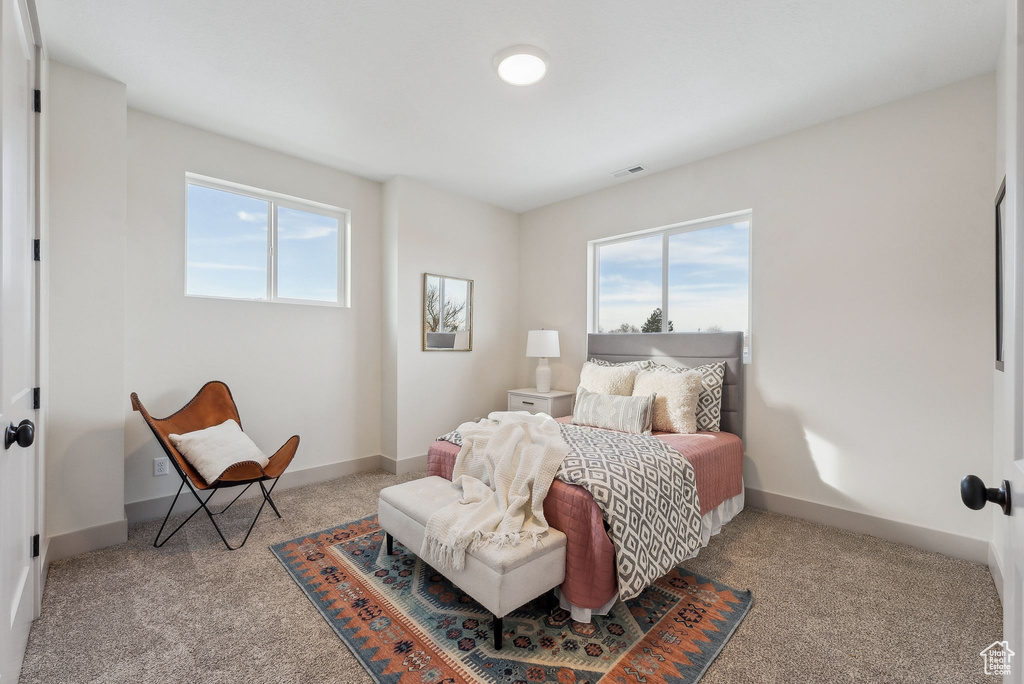 Carpeted bedroom featuring visible vents, baseboards, and multiple windows