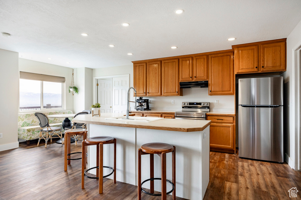 Kitchen with stainless steel appliances, under cabinet range hood, a sink, recessed lighting, and light countertops