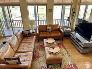 Living room featuring wood finished floors