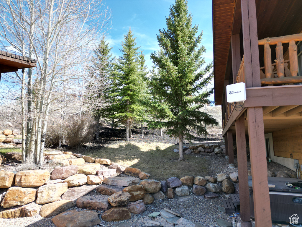 View of yard
