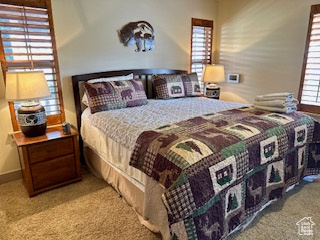 Bedroom with carpet