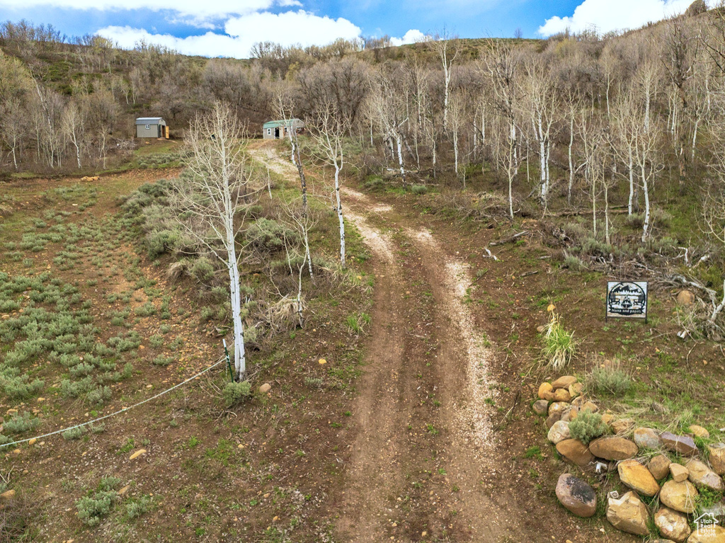 Bird\\\'s eye view of a heavily wooded area