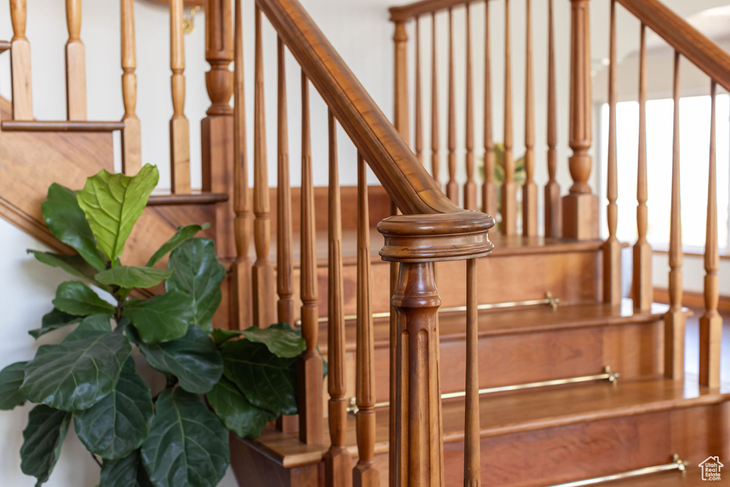 View of stairs