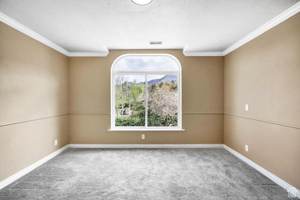 Empty room featuring baseboards, visible vents, crown molding, and carpet flooring