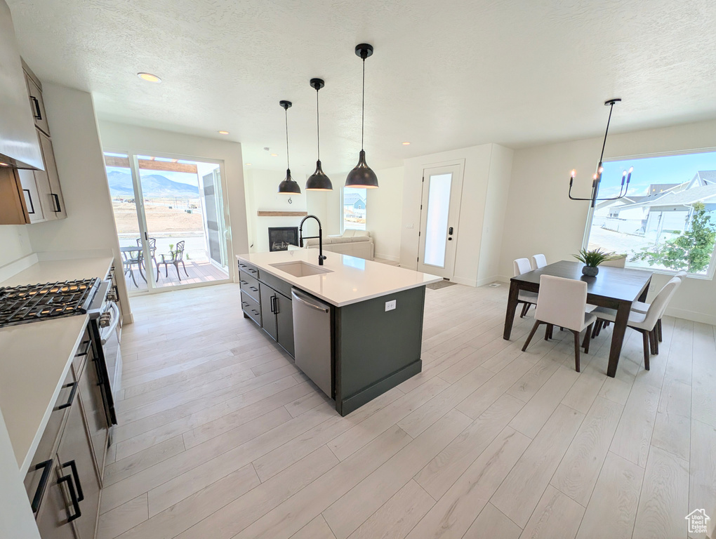 Kitchen with stainless steel appliances, light countertops, healthy amount of natural light, light wood-type flooring, and a textured ceiling