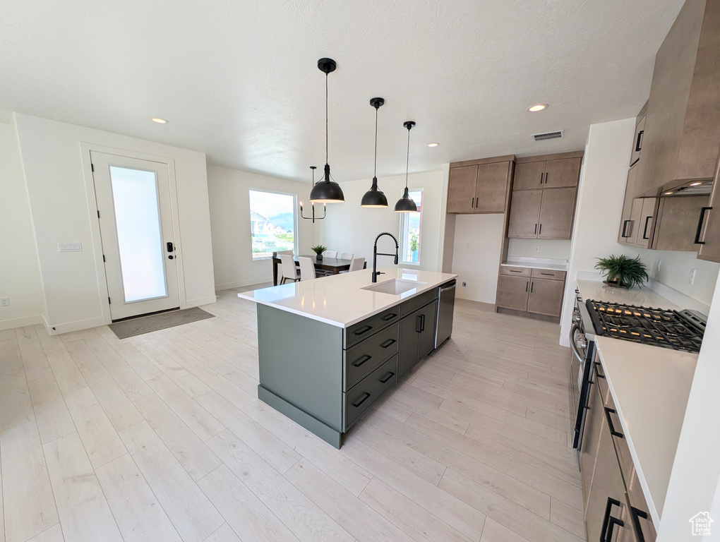 Kitchen with a sink, appliances with stainless steel finishes, light countertops, light wood-type flooring, and recessed lighting
