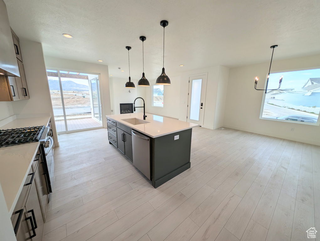Kitchen with light countertops, light wood-style flooring, stainless steel appliances, and a sink