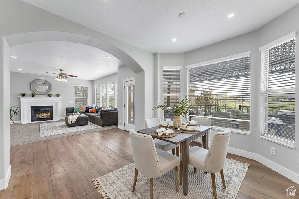 Dining room featuring arched walkways, hardwood / wood-style floors, ceiling fan, a glass covered fireplace, and baseboards