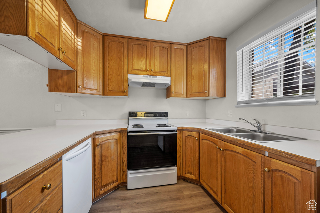 Kitchen featuring white appliances, under cabinet range hood, light wood-style floors, and light countertops