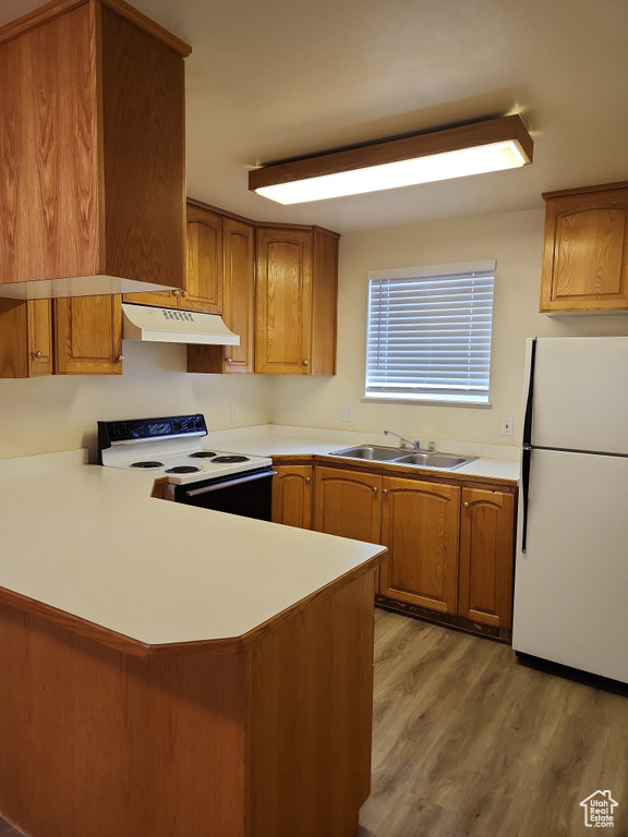 Kitchen with brown cabinets, under cabinet range hood, electric stove, a sink, and freestanding refrigerator