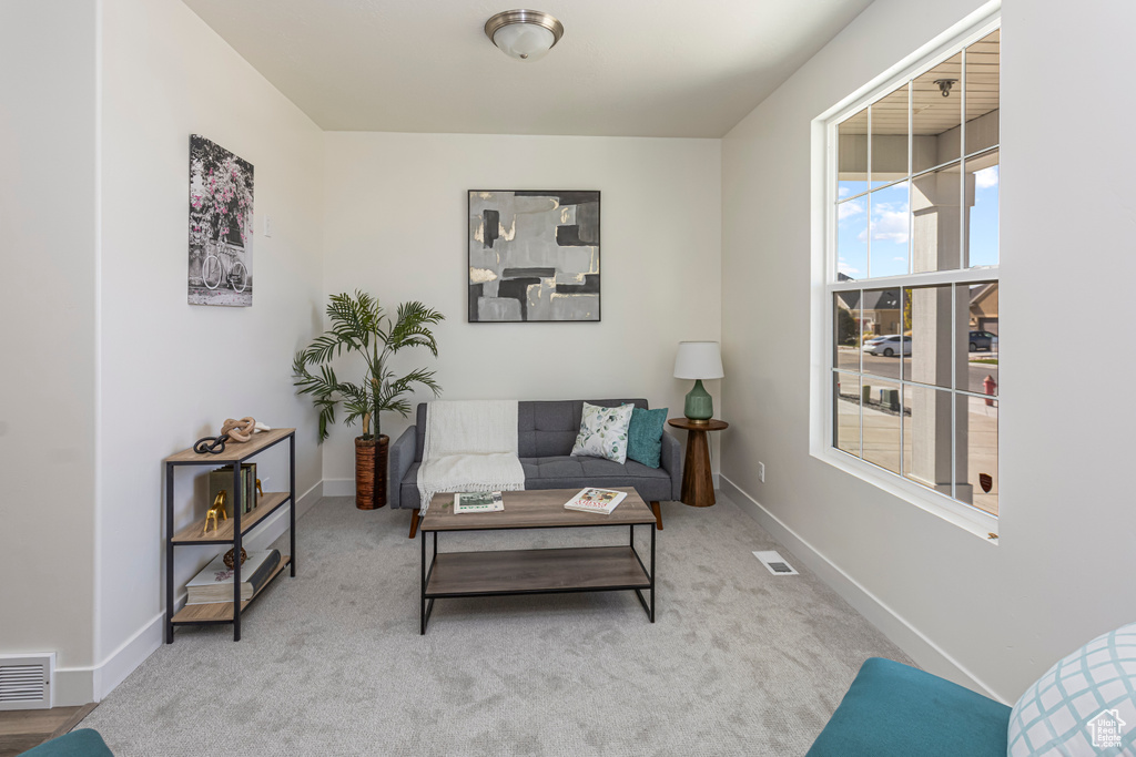 Sitting room featuring baseboards, visible vents, and carpet