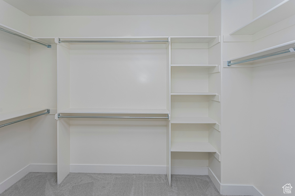 Walk in closet featuring carpet floors