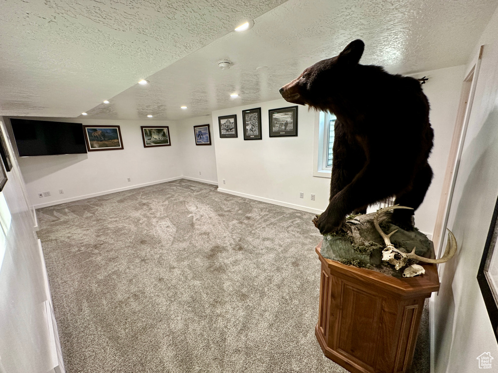 Interior space with recessed lighting, a textured ceiling, carpet floors, and baseboards