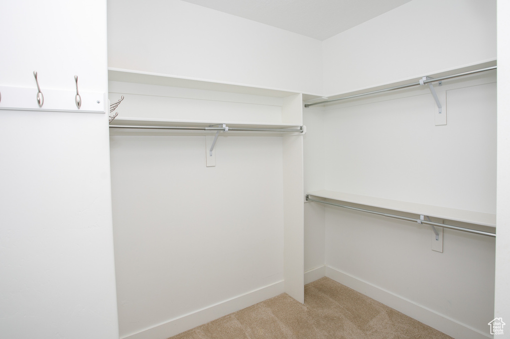Spacious closet featuring light carpet