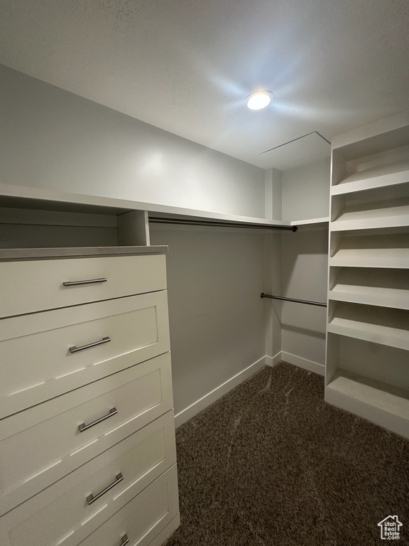 Walk in closet with dark carpet