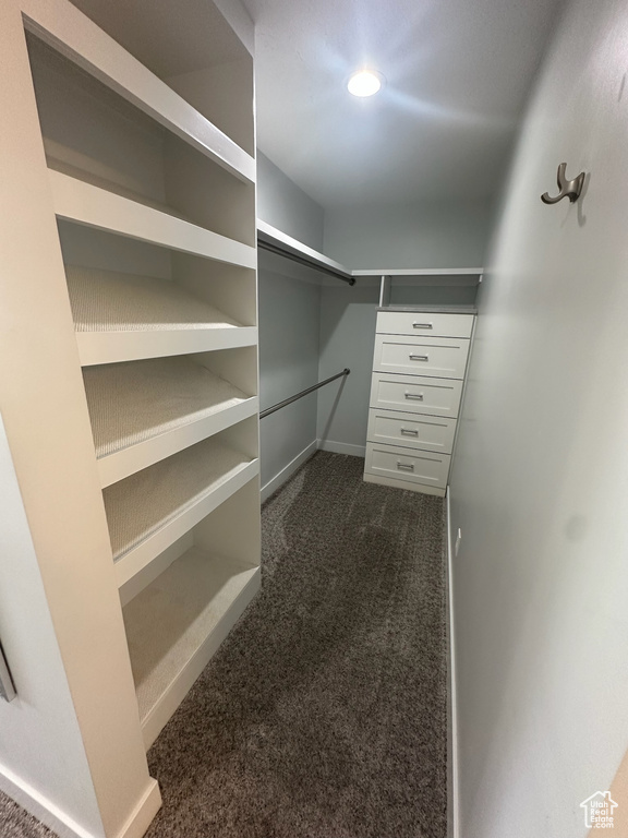 Walk in closet with dark colored carpet