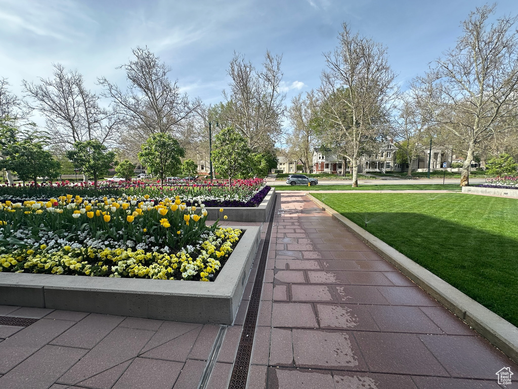 View of community featuring a lawn