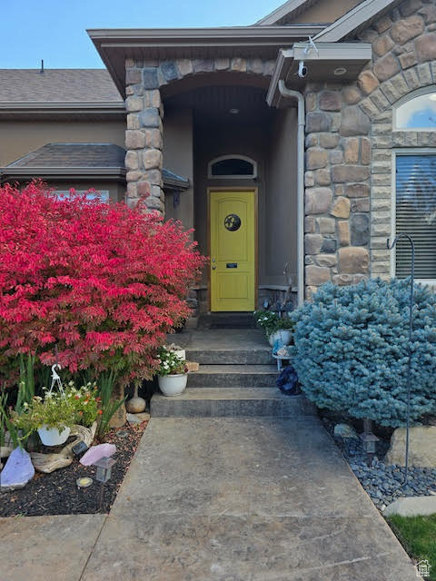 View of exterior entry featuring stone siding