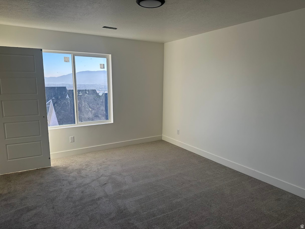 993 W MOUNTAIN HOLLOW WAY #313 Lehi, UT 84043