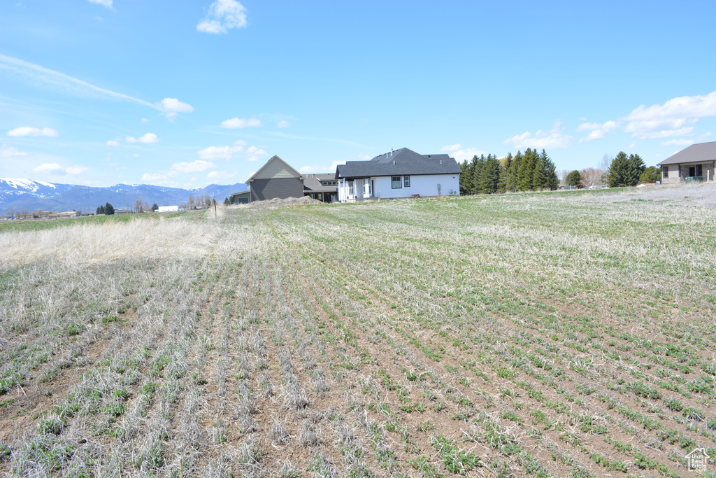 View of yard with a rural view