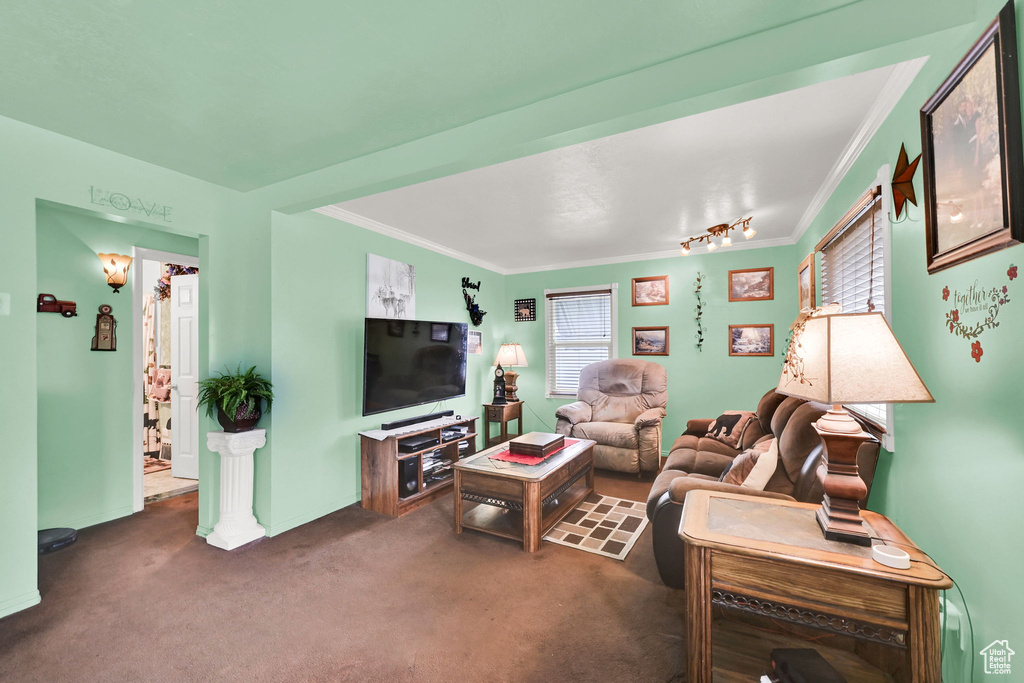 Living area with baseboards, dark colored carpet, and ornamental molding