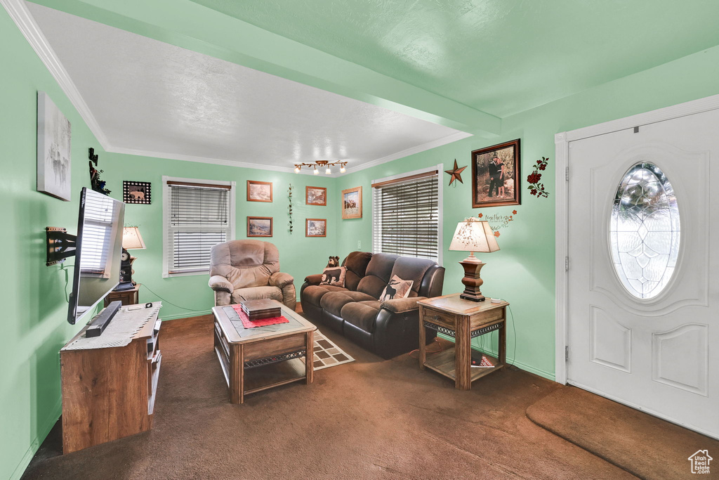 Living area with dark carpet, crown molding, and baseboards