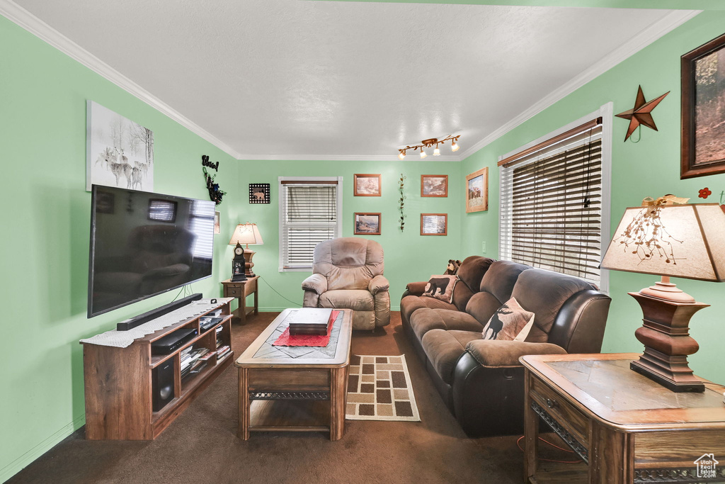 Carpeted living room featuring track lighting, ornamental molding, and baseboards