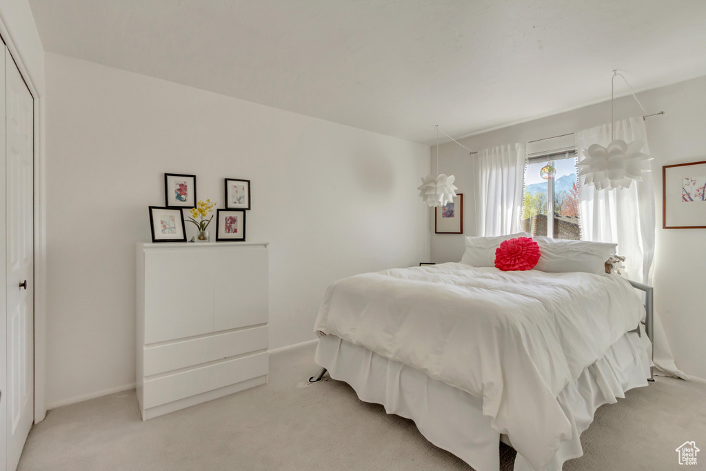 Bedroom with a closet and light carpet
