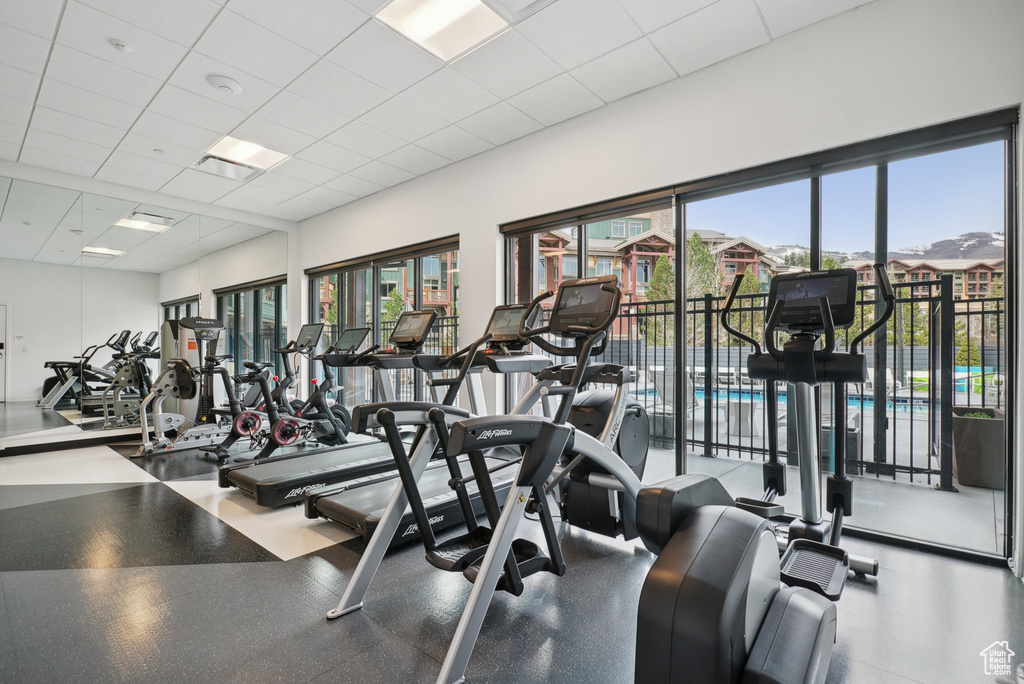 Gym featuring a healthy amount of sunlight and a drop ceiling