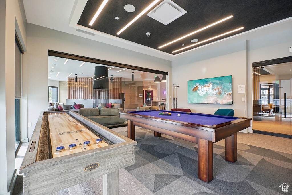 Recreation room featuring carpet floors and pool table