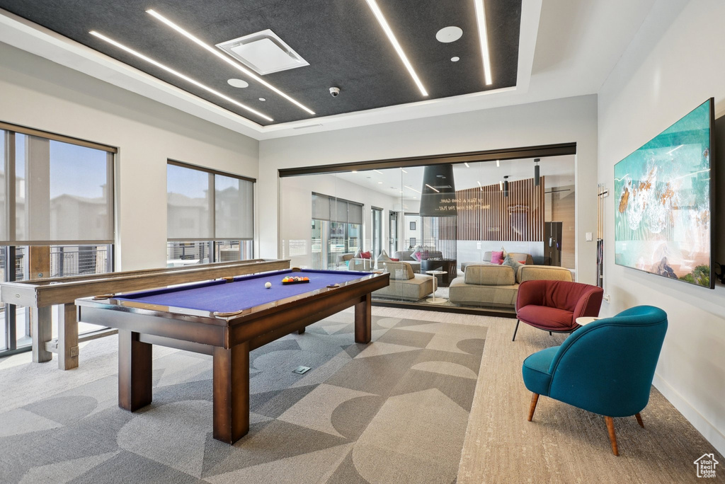 Rec room featuring billiards and carpet floors
