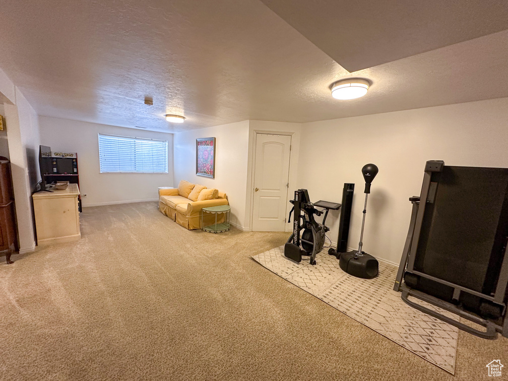 Workout area featuring carpet floors, a textured ceiling, and baseboards