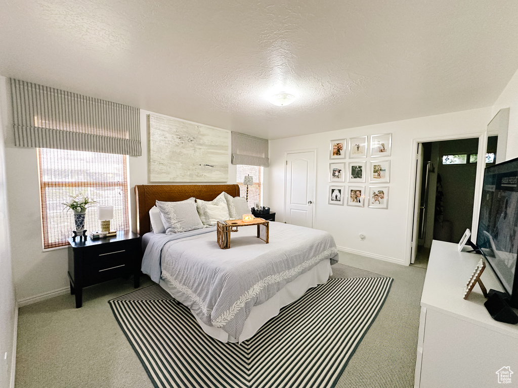 Bedroom with a closet, carpet floors, a textured ceiling, and baseboards