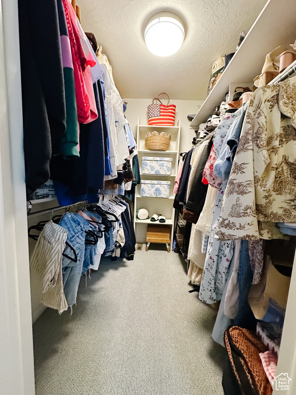 Spacious closet with carpet flooring