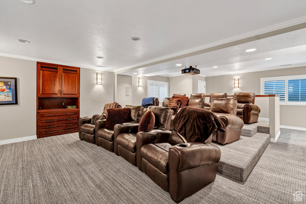 Cinema with ornamental molding, baseboards, recessed lighting, and light colored carpet
