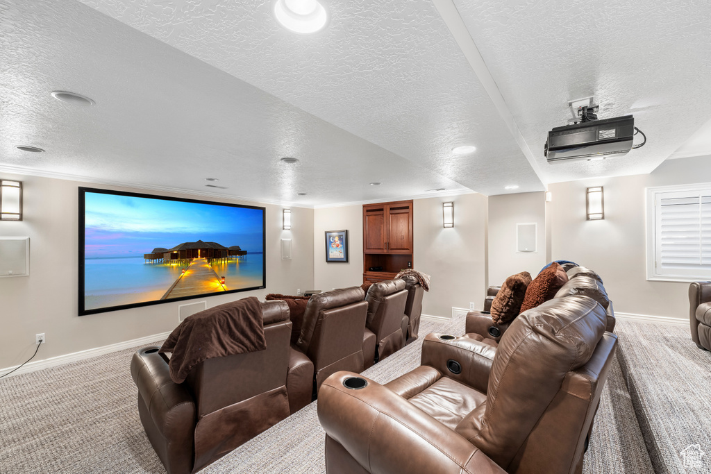 Carpeted cinema room with baseboards and a textured ceiling