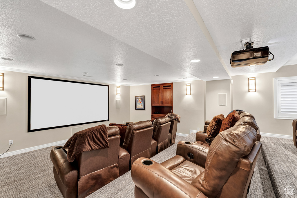 Home theater room featuring baseboards, a textured ceiling, and light colored carpet