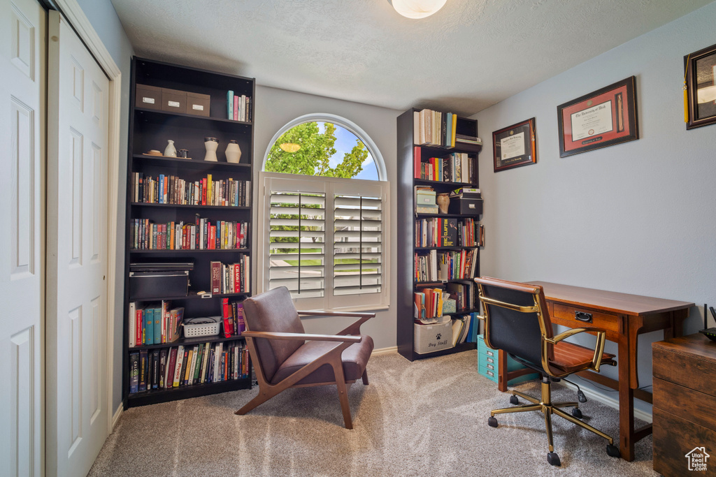 Carpeted home office with a textured ceiling and baseboards