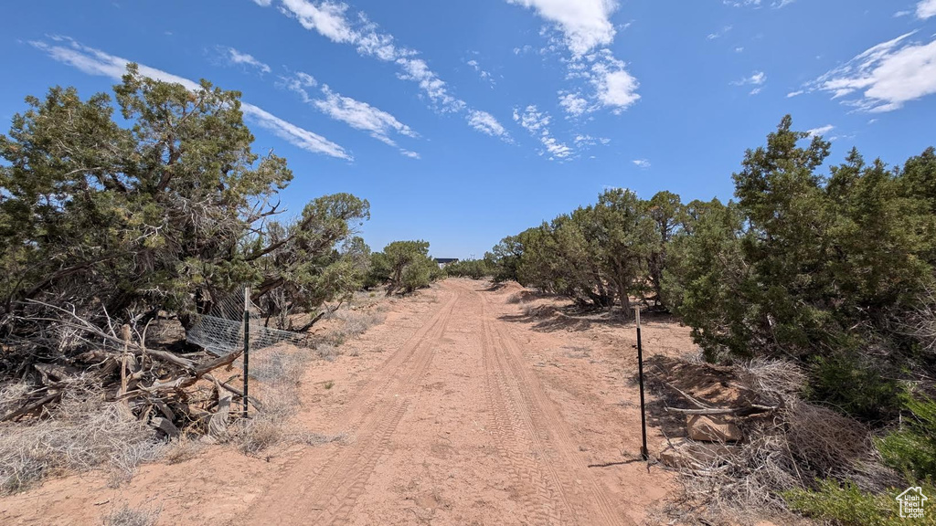 View of dirt / gravel road featuring a rural view