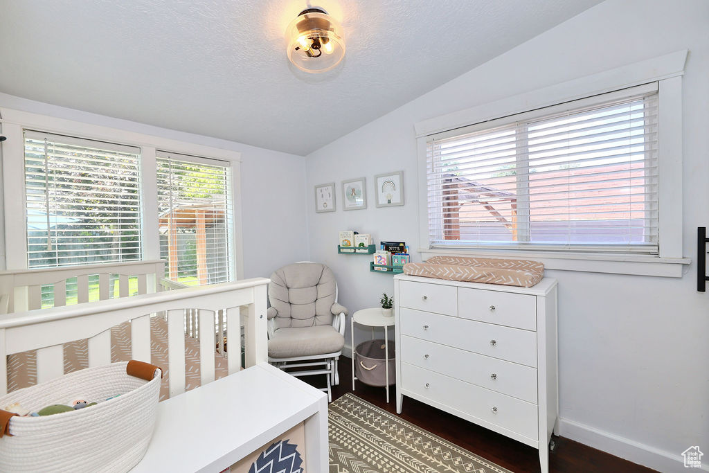 Bedroom featuring baseboards, a textured ceiling, vaulted ceiling, and dark wood finished floors