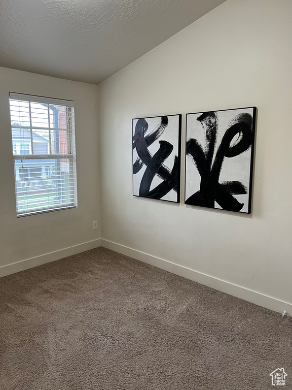 Unfurnished room with carpet floors, a textured ceiling, and baseboards