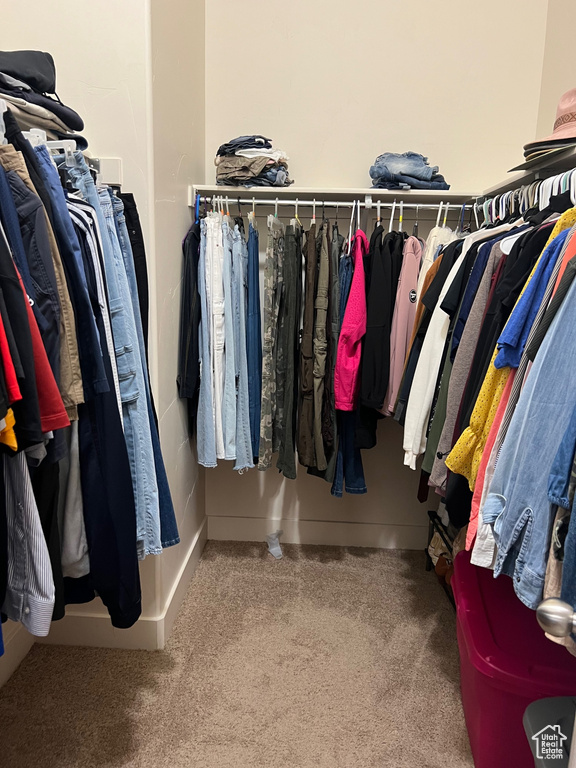 Walk in closet with carpet